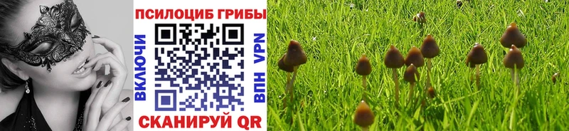 Галлюциногенные грибы мицелий  Малгобек 
