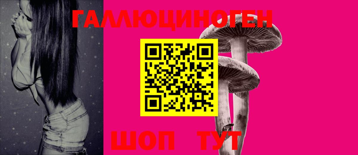 Псилоцибиновые грибы Psilocybe  Вход с VPN  Малгобек 
